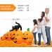 Dreamcountry 8FT Halloween Inflatables Pumpkin Halloween Inflatable Outdoor Decoration 8 Build-in LEDs Halloween Blow Up Yard Decorations