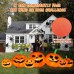 B&D 8FT Long Halloween Inflatables Pumpkin Outdoor Decorations, 7 Inflatable Pumpkins and Black Cat Combo Blow Up Halloween Decorations Built-in LEDs for Halloween Decor Holiday Party Yard Garden Lawn